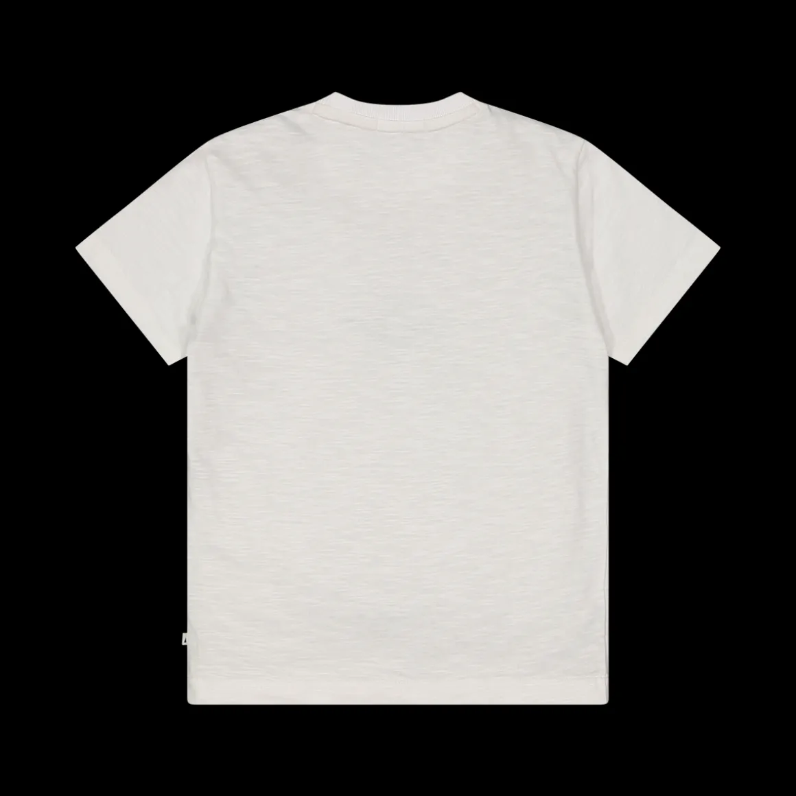 T-shirt con stampa animali per bambino