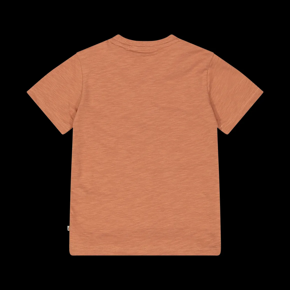 T-shirt con stampa animali per bambino
