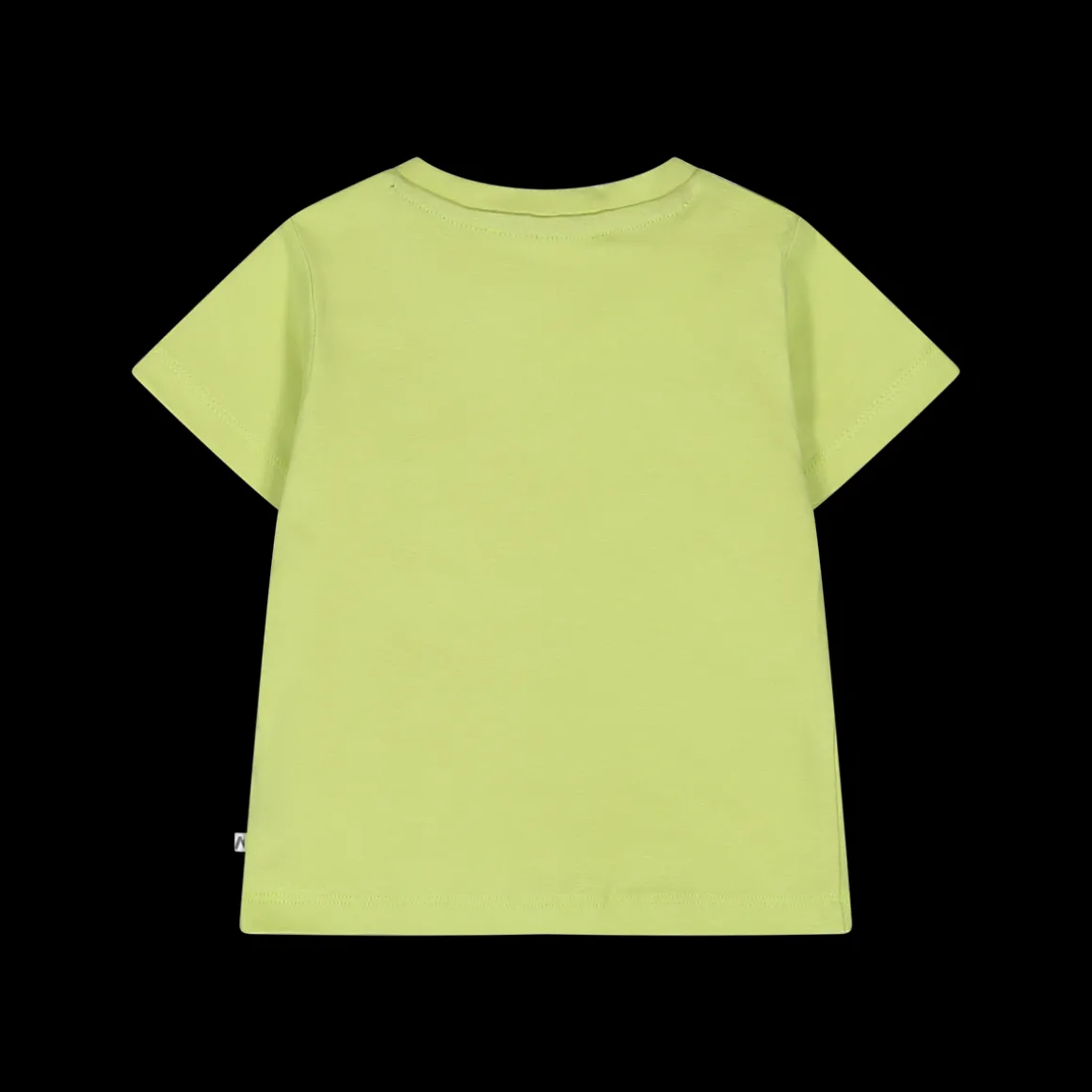 T-shirt con tenera stampa dinosauri per neonato