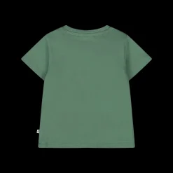 T-shirt con tenera stampa dinosauri per neonato