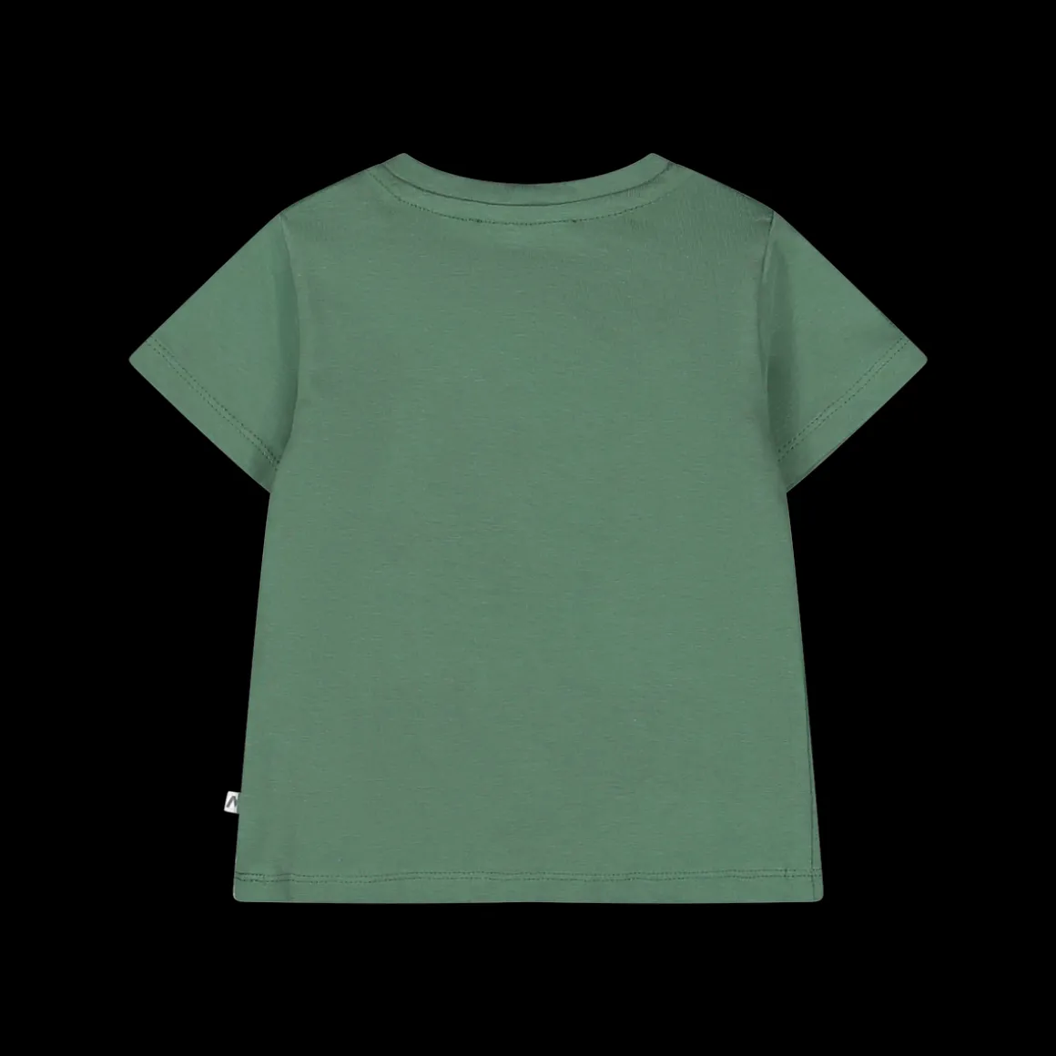T-shirt con tenera stampa dinosauri per neonato