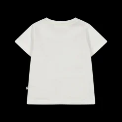 T-shirt con tenera stampa dinosauri per neonato