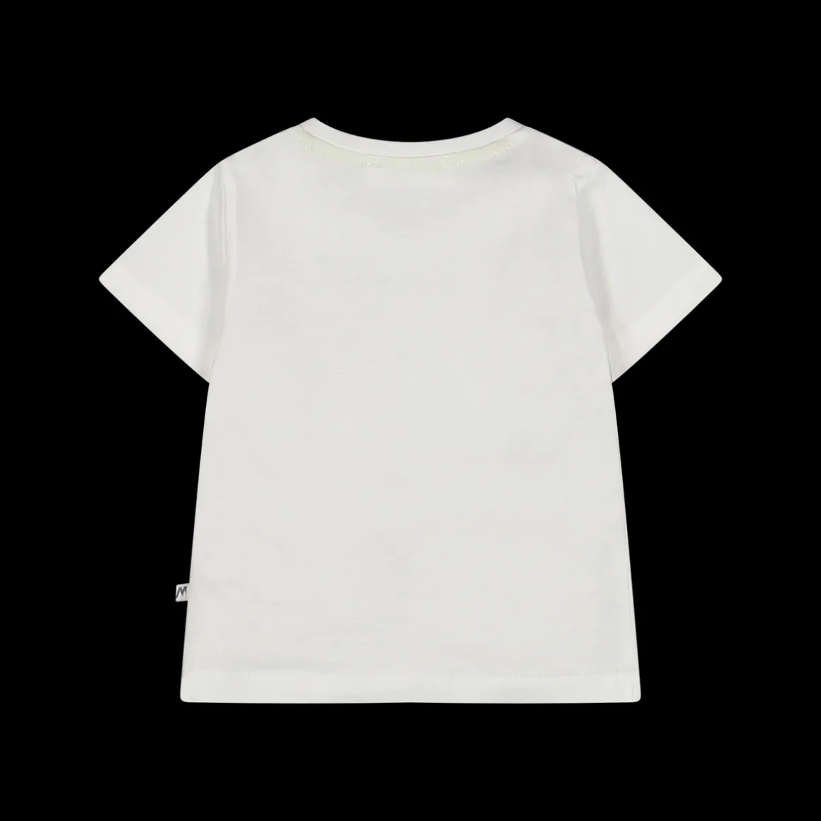T-shirt con tenera stampa dinosauri per neonato